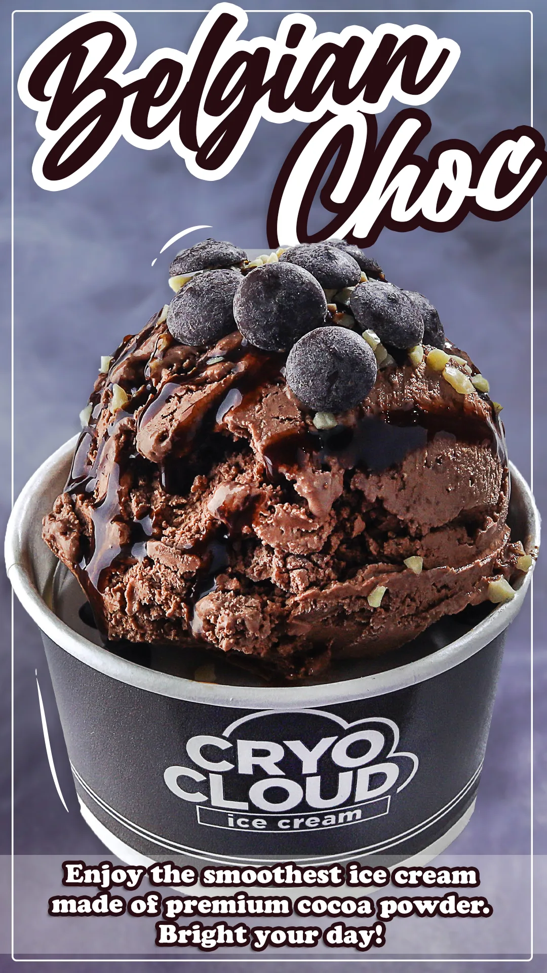 Belgian Chocolate ice cream